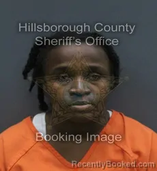 Mugshot of NATASHA KENT booked in Hillsborough County, Florida on August 2, 2026