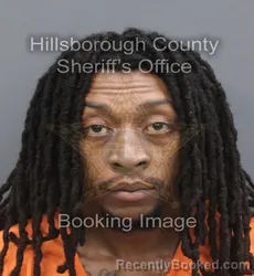 Mugshot of DAVANTE JAMAL CAMPBELL booked in Hillsborough County, Florida on August 2, 2026