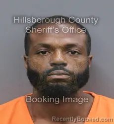 Mugshot of BRIAN CHARLES JR WILLIAMS booked in Hillsborough County, Florida on August 2, 2026