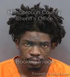 Mugshot of DACARI MONTELL MITCHELL booked in Hillsborough County, Florida on August 2, 2026