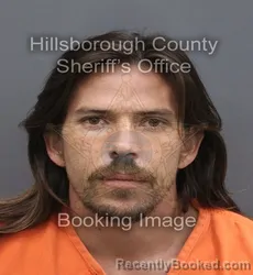 Mugshot of CODY ADAM COLE booked in Hillsborough County, Florida on August 2, 2026