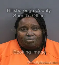 Mugshot of AFRICA OMEGA WILSON booked in Hillsborough County, Florida on August 2, 2026