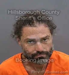 Mugshot of EDWARD FRANK MARTIN booked in Hillsborough County, Florida on August 2, 2026