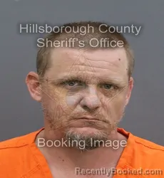 Mugshot of SHANE RYAN PIPPENGER booked in Hillsborough County, Florida on August 2, 2026