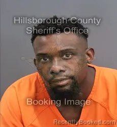Mugshot of JARVIS D LEONARD booked in Hillsborough County, Florida on August 2, 2026