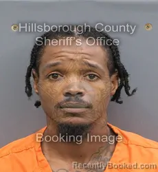 Mugshot of MICHAEL RASHAWN HAMMONDS booked in Hillsborough County, Florida on August 2, 2026