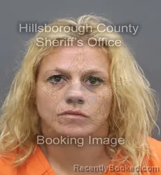 Mugshot of ASHLEY NICOLE GARRETT booked in Hillsborough County, Florida on August 2, 2026