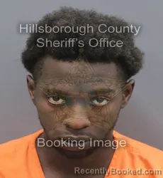 Mugshot of BRYCE JAMEL MCRAE booked in Hillsborough County, Florida on August 2, 2026