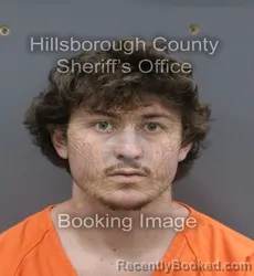 Mugshot of LUCAS SCOTT SATHER booked in Hillsborough County, Florida on August 2, 2026