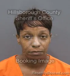 Mugshot of JENNEKA RASHAE JENKINS booked in Hillsborough County, Florida on August 2, 2026