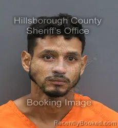 Mugshot of LUIS FERNANDO SEBASTIAN NAVEDA GARCIA booked in Hillsborough County, Florida on August 2, 2026