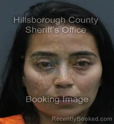 Mugshot of KELLY JOHANA YANGUATIN MAGON booked in Hillsborough County, Florida on August 2, 2026