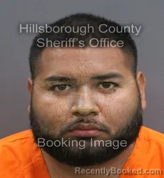 Mugshot of JUAN ALBERTO SERRANO booked in Hillsborough County, Florida on August 2, 2026