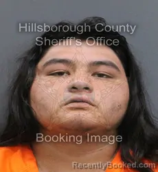 Mugshot of LUCIANO ESTEBAN ZAVALA booked in Hillsborough County, Florida on August 2, 2026