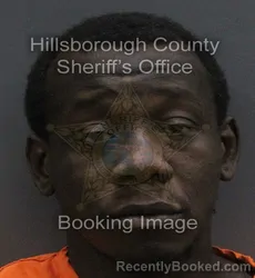 Mugshot of FREDRICK MICHAEL JR JOHNSON booked in Hillsborough County, Florida on August 2, 2026