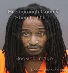 Mugshot of JALEN TYSEAN LANG booked in Hillsborough County, Florida on August 3, 2026
