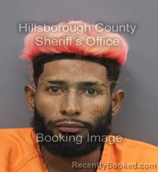 Mugshot of SOMER NAIN LOBOMARTINEZ booked in Hillsborough County, Florida on August 3, 2026