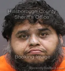 Mugshot of FERMAN JR MOLINA