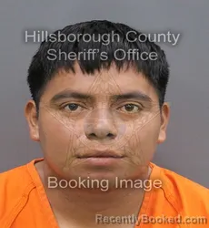 Mugshot of SERGIO JHONNY COC CHOC booked in Hillsborough County, Florida on August 3, 2026