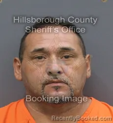 Mugshot of STEPHEN GUERRA booked in Hillsborough County, Florida on August 3, 2026