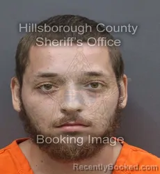 Mugshot of AARON TYLER PERRI booked in Hillsborough County, Florida on August 3, 2026