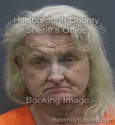 Mugshot of JANET LEE CAZEAULT booked in Hillsborough County, Florida on August 3, 2026