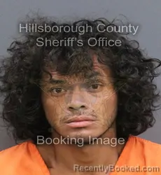 Mugshot of SERVANDO VILLALOBOS booked in Hillsborough County, Florida on August 3, 2026