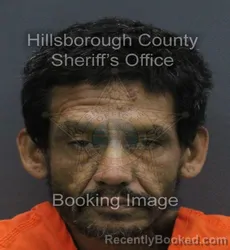 Mugshot of EDGAR D TORRES booked in Hillsborough County, Florida on August 3, 2026