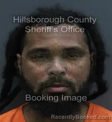 Mugshot of WALTER LEE ROBINSON booked in Hillsborough County, Florida on August 3, 2026
