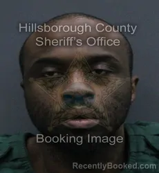 Mugshot of BRANDON TUSHUMBI BROWN booked in Hillsborough County, Florida on August 3, 2026