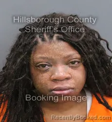 Mugshot of JASMINE INEZ HUNTER JENNINGS booked in Hillsborough County, Florida on August 3, 2026