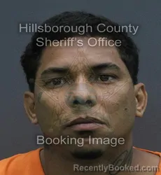 Mugshot of AUGUSTO NATANAEL GARCIA booked in Hillsborough County, Florida on August 3, 2026