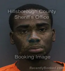 Mugshot of JAHEIM HASSUAN LEWIS booked in Hillsborough County, Florida on August 3, 2026