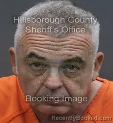 Mugshot of BRIAN ALLEN DEMOTT booked in Hillsborough County, Florida on August 3, 2026