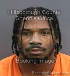 Mugshot of KAHZIN KINTE DANIELS-PARFAIT booked in Hillsborough County, Florida on August 3, 2026