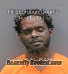 Booking photo from Hillsborough County, Florida
