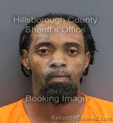 Mugshot of RATERRIARASHOD VERNOSHAWN DALRICKE WATSON booked in Hillsborough County, Florida on August 3, 2026