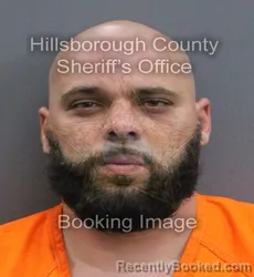 Mugshot of JOSE MANUEL PEREZ booked in Hillsborough County, Florida on August 3, 2026