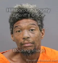Mugshot of ERIC LAJUAN WILDER booked in Hillsborough County, Florida on August 3, 2026