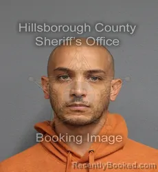 Mugshot of ROBSON A VANDERLEI booked in Hillsborough County, Florida on August 3, 2026