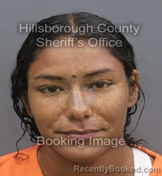 Mugshot of JASMINE ASHAI COPNEY booked in Hillsborough County, Florida on August 3, 2026