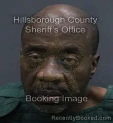 Mugshot of VINCENT GERALD WHITE booked in Hillsborough County, Florida on August 3, 2026