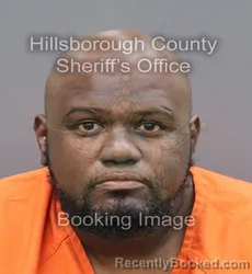 Mugshot of IAN JEFFERY THEUNE booked in Hillsborough County, Florida on August 3, 2026
