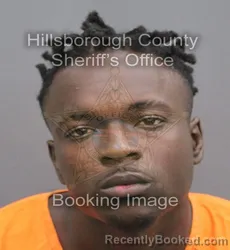 Mugshot of WAYMON LEE JENKINS booked in Hillsborough County, Florida on August 3, 2026