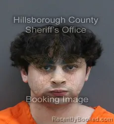 Mugshot of AIDAN JANAK AMIN booked in Hillsborough County, Florida on August 3, 2026