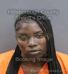 Mugshot of NATEQUANDRA ADKINS booked in Hillsborough County, Florida on August 3, 2026