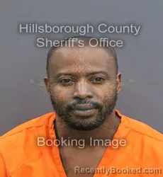 Mugshot of CODY JOHNERICK ROOSEVELT HOLMES booked in Hillsborough County, Florida on August 3, 2026