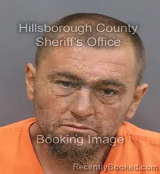 Mugshot of JAMES ROBERT ATKINS booked in Hillsborough County, Florida on August 3, 2026