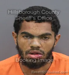 Mugshot of ELIJAH ALI MORRIS booked in Hillsborough County, Florida on August 3, 2026