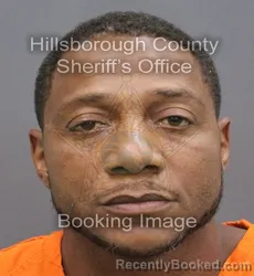Mugshot of DURRELL MICHAEL SAVAGE booked in Hillsborough County, Florida on August 3, 2026